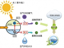 什么甲醛治理辦法效果好持續(xù)時(shí)間長？