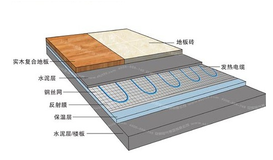 冬季，它們成了甲醛的幫兇