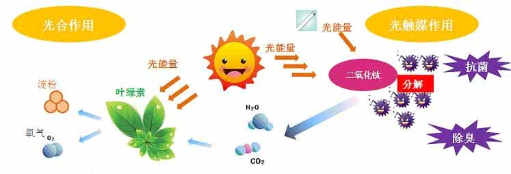 家中甲醛超標(biāo)，什么才是甲醛治理的正確姿勢？